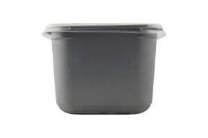 Морозиво з комбінованим складом сировини Анансове Рудь п/у 1.25кг