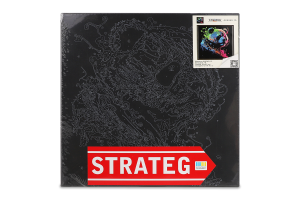 Набір д/розпису по номерах Тварини на чорному фоні 40*40см Стратег