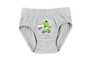 Труси д/хлопчиків р.98-128 2811-4 Коста