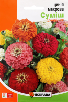 Насіння Квіти Цинія махрова висока суміш 3г Яскрава