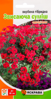Насіння Квіти Вербена гібридна звисаюча суміш 0,1г Яскрава