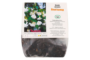 Бульба Бегонія Білий каскад звисаюча Яскрава