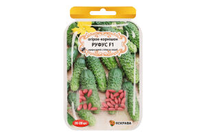 Насіння Огірок-корнішон Руфус F1 дражоване 3г Яскрава