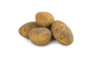 Картофель белый  