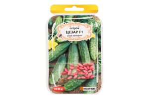 Насіння Огірок Цезар F1 дражоване 3г Яскрава