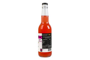 Напій газований комбуча WILD Kombucha смородина-мʼята