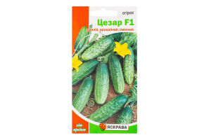 Насіння Огірок Цезар F1 0,5г Яскрава