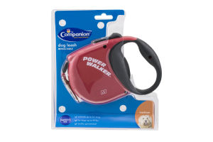 Companion Retractable Dog Leash Medium