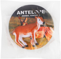 Набір іграшковий Дикі тварини 36шт Solar