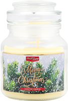 Свічка ароматична ТО205 Ваніль-Мандарин скло Пако ІФ