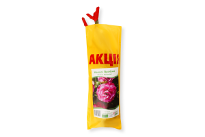 Саженцы Роза акция пакет