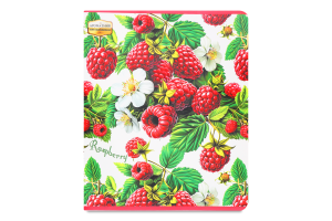 Зошит Фемілі Лайн Ароматний клітинка 48аркушів Тетрада