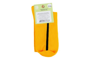 Шкарпетки підл Premier socks Економ UA гірч р22-24