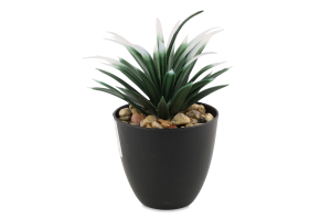 Вазон декоративний Сукулент з камінцями 16*12*12см в асортименті BMG