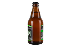 Пиво 0.33л 4.9% світле нефільтроване неосвітлене непастеризоване Нoppy lager Saga пл