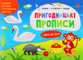 Книжка Пиши-стирай Пригодницькі прописи