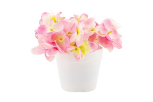 Гортензія штучна у горщику 11*11см в асортименті