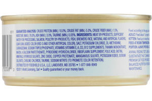 Companion Premium Cat Food Salmon Dinner 5.5 OZ