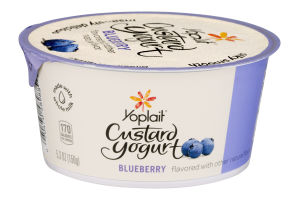 Yoplait Custard Yogurt Blueberry
