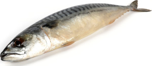 Скумбрия с/с СП