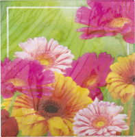 Smart Living Gerbera Glory Napkins - 16 CT