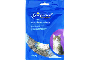 Companion Catnip