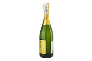 Вино игристое 0.75л 11% белое брют Cheri d'Amour бут