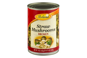 Roland Straw Mushrooms Broken