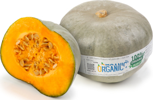 Гарбуз Дунайський Аграрій Джон Бук органічний