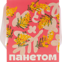 Панетом з апельсиновою карамеллю ТОВ Арахісова паста Том к/у 650г