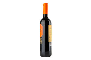 Вино 0.75л 13.5% червоне сухе Tempranillo Petit Verdot Crianza Paton-Clemente пл