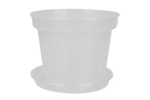 ГОРЩИК "ОРХІДЕЯ", ПРОЗОРИЙ