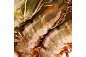 Креветки Сільпо тигр чорн панц сир глаз с/м 8/12