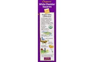 Annie's Homegrown Organic White Cheddar Squares Baked Snack Crackers