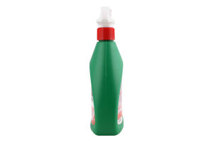 Засіб д/захисту від шкідників кімнатних рослин 500мл спрей Royal Mix