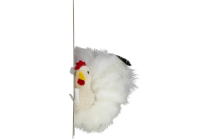 Spot Birds Of A Feather Catnip Cat Toy