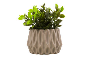 Вазон декоративний з рослиною призматичний 18*10*10см в асортименті BMG