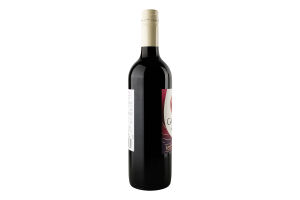 Вино 0.75л Semi Sweet Red 2013 Gato Negro