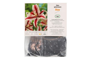 Цибулина Лілія Діззі орієнтальна Яскрава