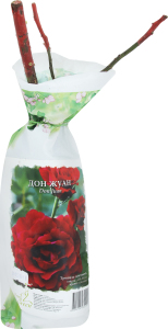 Саженцы Роза плетистая пакет флория