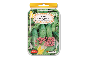 Насіння Огірок Алладін F1 дражоване 3г Яскрава