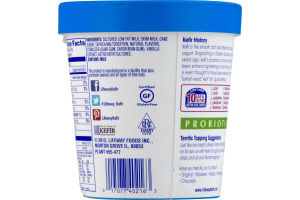 Lifeway Frozen Kefir Tart And Tangy Original