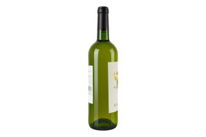 Вино 0.75л 11% біле сухе Bon Plaisir пл