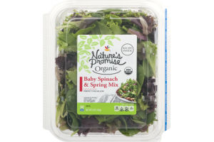 Nature's Promise Baby Spinach & Spring Mix