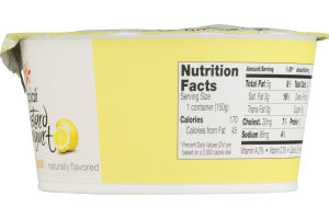 Yoplait Custard Yogurt Lemon
