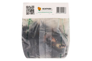 Цибулина Лілія Екзотік Сан ДБЛ орієнтальна подвійна Яскрава