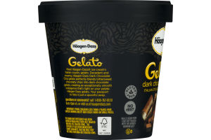 Haagen-Dazs Gelato Dark Chocolate Chip