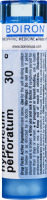 Boiron Hypericum Perforatum 30 C - 80 CT