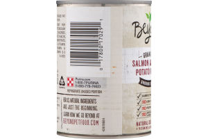 Purina Beyond Grain Free Ground Entree Dog Food Salmon & Sweet Potato Recipe