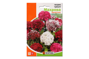 Насіння Квіти Гвоздика Турецька махрова 3г Яскрава
